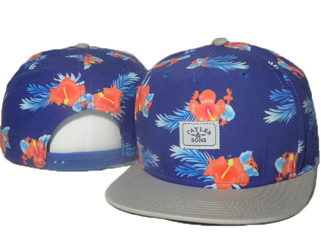 Cayler And Sons Snapback Hat #48